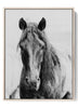 Black Horse Headshot Art Print - Black Horse Portrait