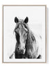 Grey Horse Portrait Print – Black and White Equestrian Wall Art