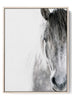 Majestic Gray Horse Digital Art Print