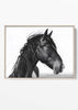 Majestic Black Horse Portrait Art Print | Minimalist Equestrian Wall Decor