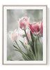 Soft Pink White Tulips Art Print | Nordic Minimalist Blush Floral Decor