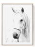 White Horse Portrait Black and White Print – Minimalist Equestrian Wall Art