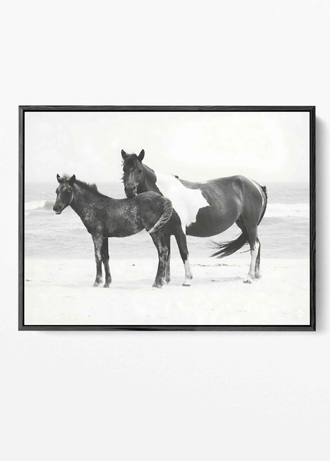 Wild Horses Beach Photography Art Print – Mare and Foal Coastal Equine Poster