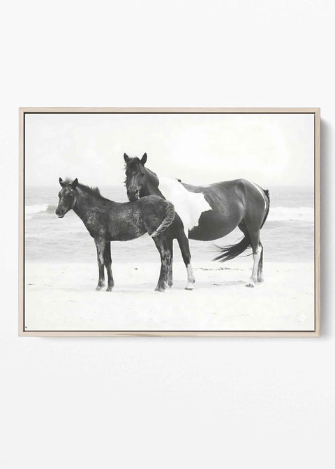 Wild Horses Beach Photography Art Print – Mare and Foal Coastal Equine Poster