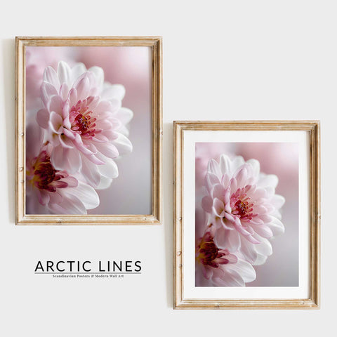 Aesthetic dahlia illustration for a Scandinavian-inspired home interior.