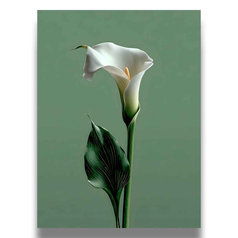 Aesthetic floral illustration for a Scandinavian or contemporary home.