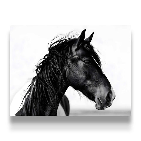 Aesthetic horse-themed gift for home or office wall decoration.
