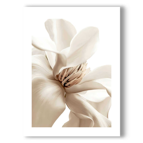 Aesthetic magnolia illustration for a Scandinavian-inspired home interior.