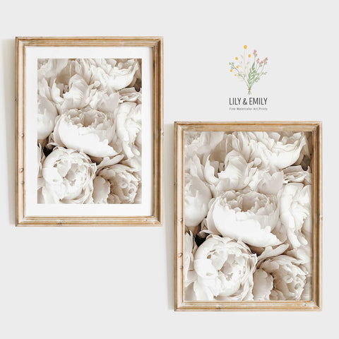 Aesthetic peony illustration for a Scandinavian-inspired home interior.
