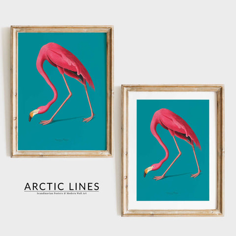 Aesthetic tropical bird poster for a contemporary living room or bedroom.