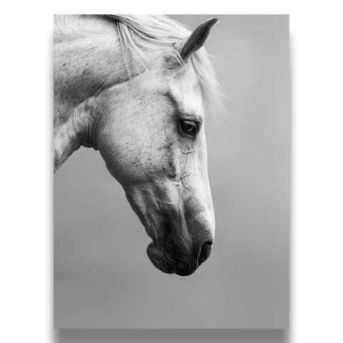 Aesthetic white horse illustration on aclean, high-key background.
