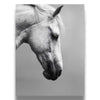 Majestic White Horse Portrait Art Print | Minimalist Equine Wall Decor