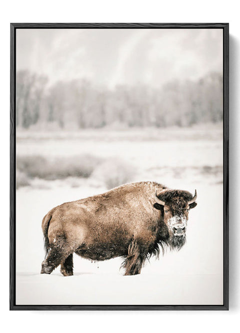 Snowy-Expanse-Bison-Poster-Sturdy-Animal-Canvas-Art-Decor