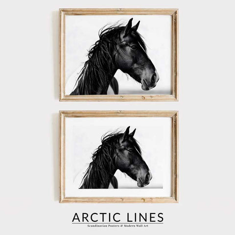 Artistic equine photography print in bold black and white.