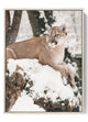 Majestic Snow Leopard Poster Wildlife Winter Canvas Art