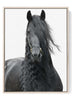 Black Friesian Horse Print – Elegant Equestrian Wall Art Portrait