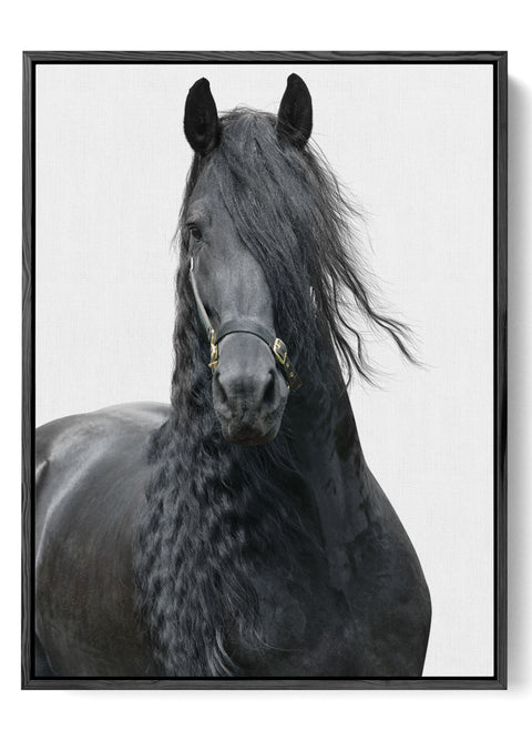 Black Stallion Running in Wild Poster

