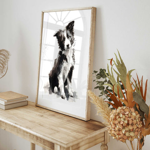 Black and white Border Collie watercolor painting
