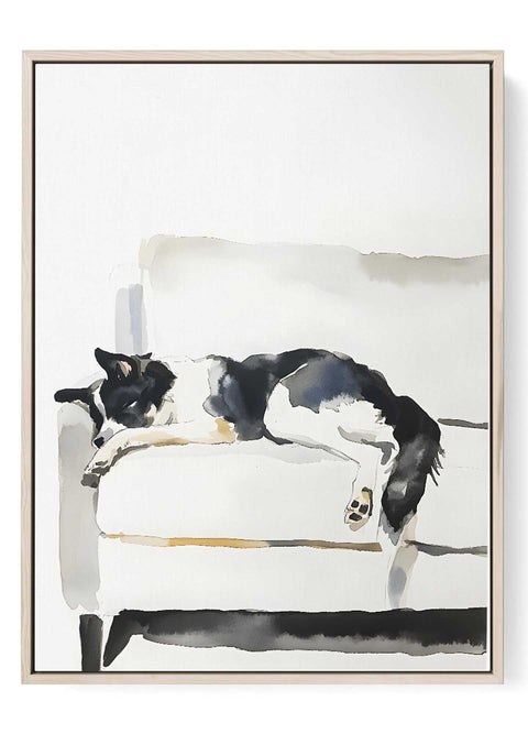 Black and white dog on sofa print