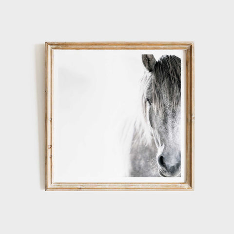 Black and white horse art print