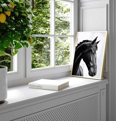 Black and white horse portrait wall