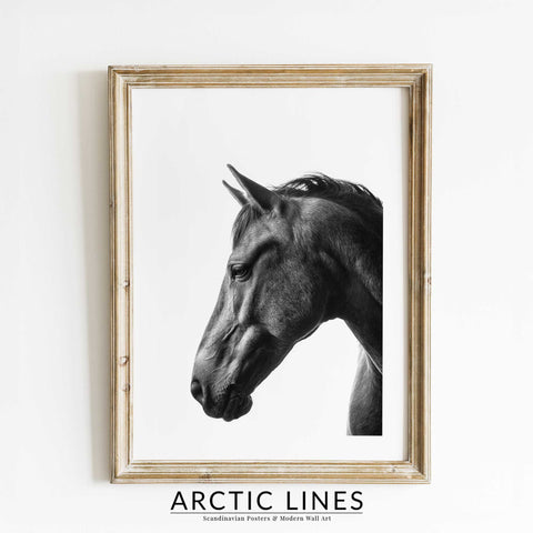 Black and white horse wall art profile