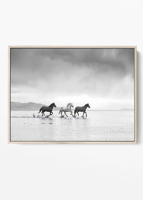 Black and white wild horses galloping in water wall decor