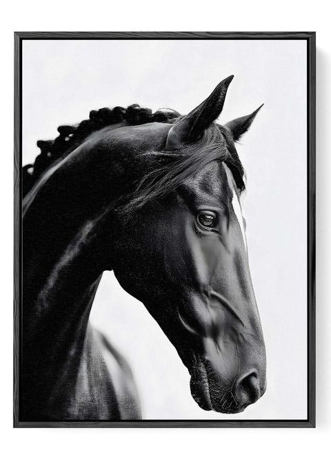 Black friesian horse braided mane print
