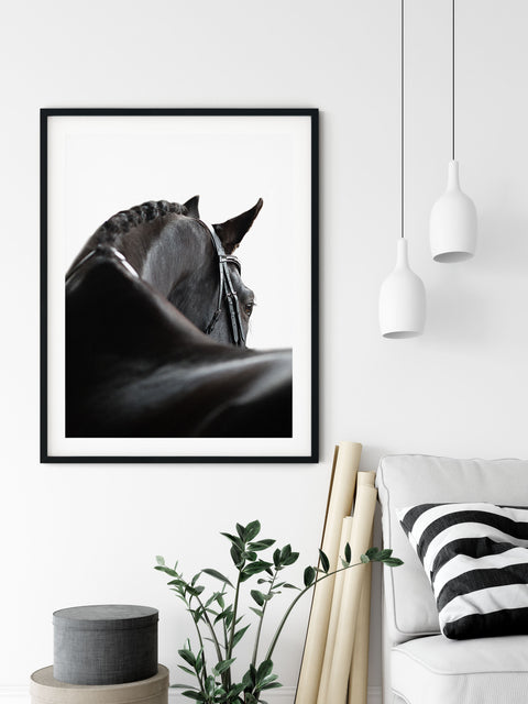 Black horse photography wall decor for a contemporary living room
