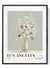 California botanical artwork with modern glass vase