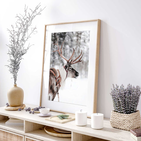 Elegant Wildlife Wall Art