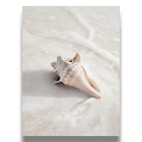 Calm and peaceful nature-themed art poster for a modern home interior.