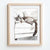 Calm feline nap scene for cozy animal-friendly decor