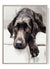 Chocolate lab watercolor print