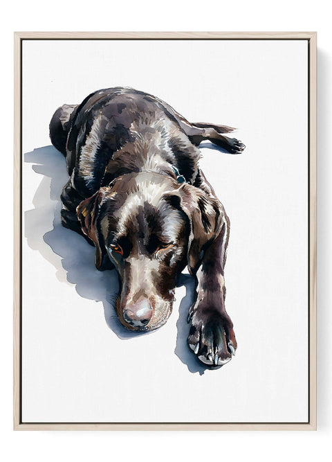 Chocolate labrador art