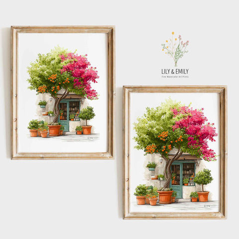 Classic European storefront with terracotta clay planter boxes art print