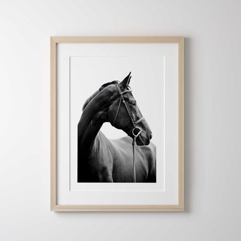 Classic black horse side profile print
