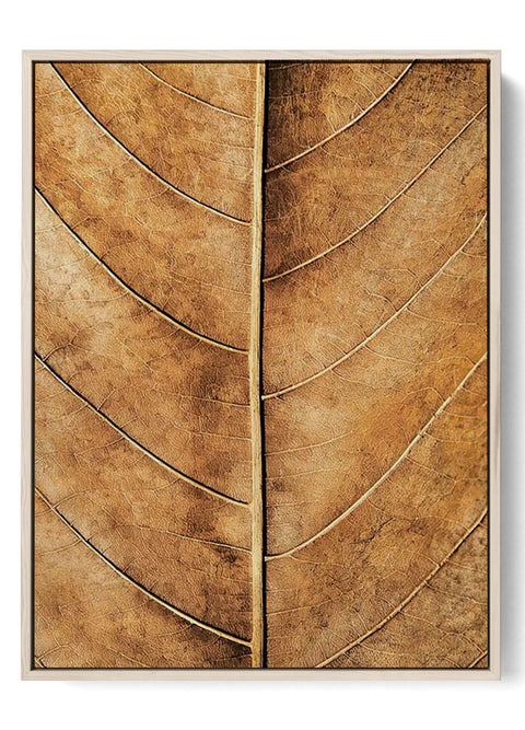 Close-Up Leaf Detail - Abstract Nature Wall Canvas Art