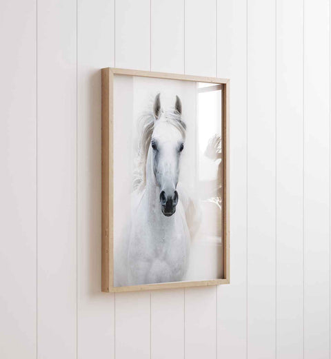 Close-up portrait of a white horse with dark expressive eyes