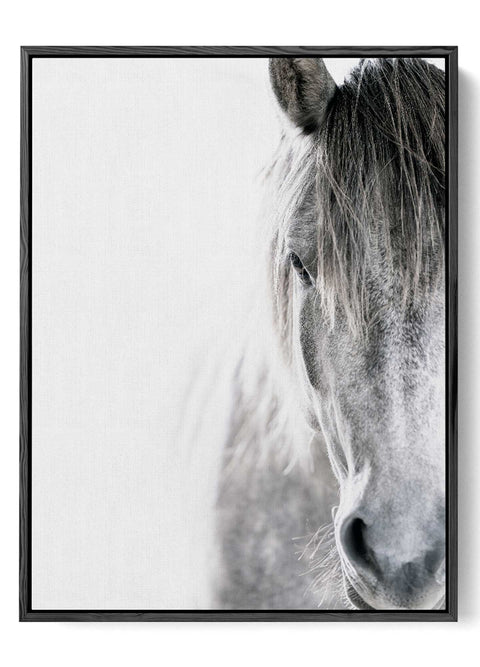 Close up grey horse photography print