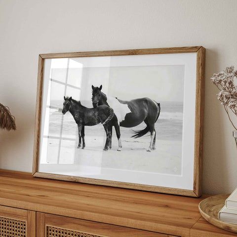 Wild Horses Beach Photography Art Print – Mare and Foal Coastal Equine Poster