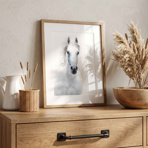 Contemporary equestrian art print featuring a white horse