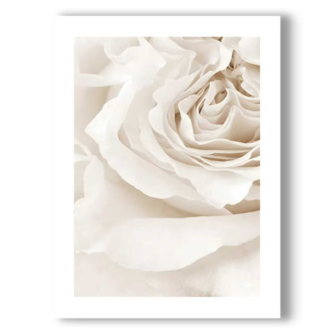 Contemporary nature wall art featuring a rose for a nursery or office.