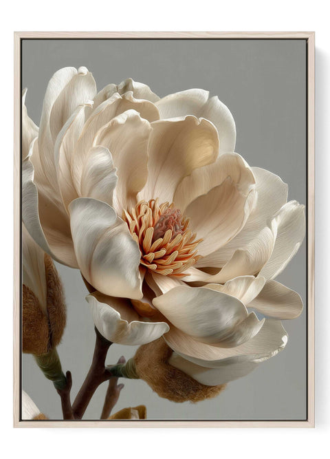 Cream magnolia blossom wall art print