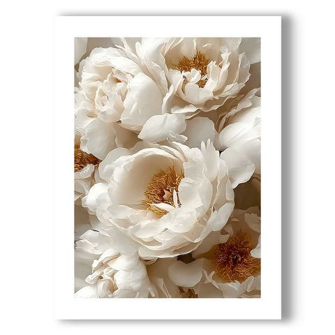 Cream peonies floral poster print