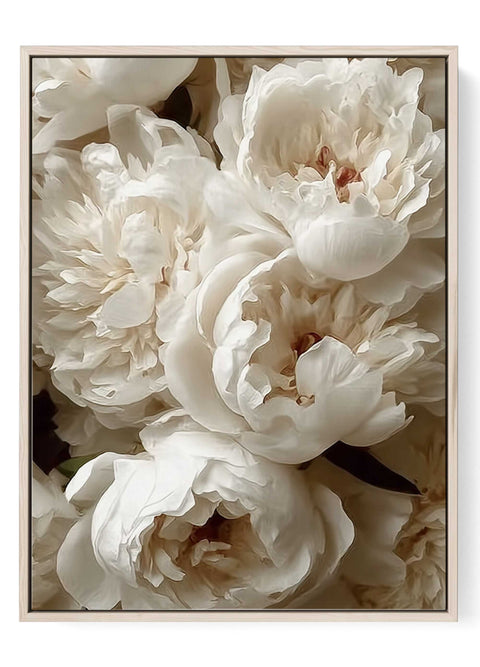 Cream white peony floral wall art print