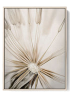 Expanding Dandelion Seed Canvas Print - Abstract Nature Wall Art