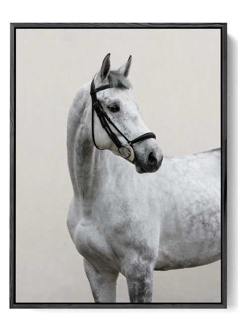 Dappled Gray Horse Portrait Wall Art