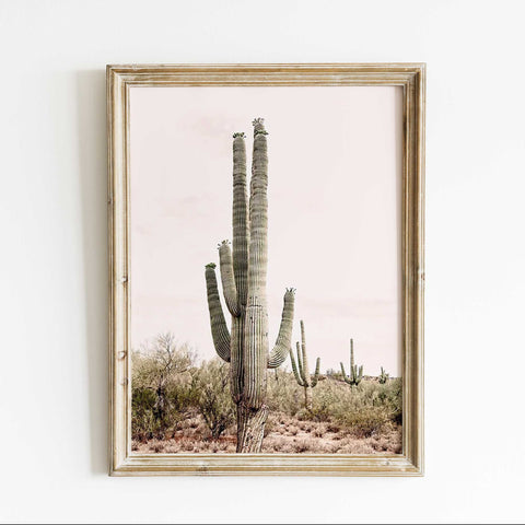 Desert Saguaro Elegance - Cactus Artwork