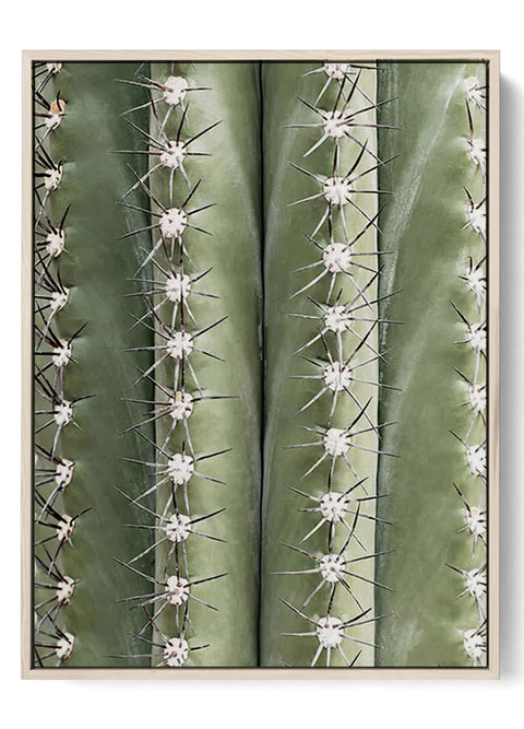 Detailed Cactus Spikes Poster - Botanical Wall Decor
